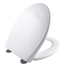 Q+ - Sedile WC